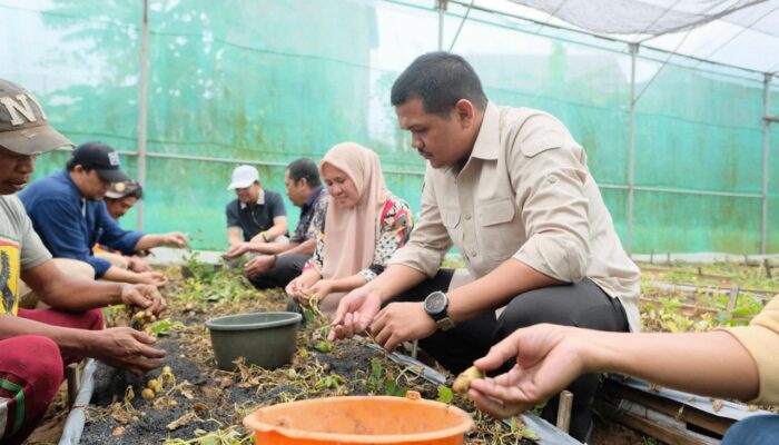 Pemkab Bantaeng Perkuat Ketahanan Pangan Lewat Distribusi Benih Unggul